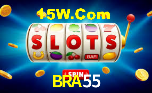 BRA55 App Interface