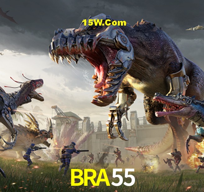 Statistics BRA55