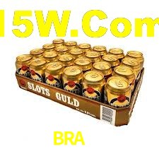 BRA55 App Interface